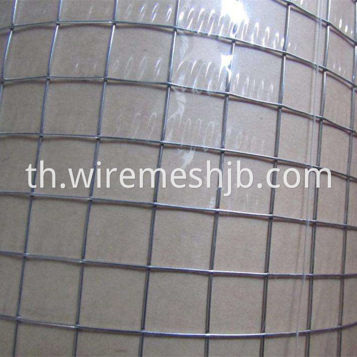 Welded Wire Mesh